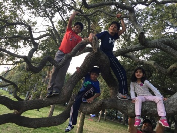 photo of dr tushar shah